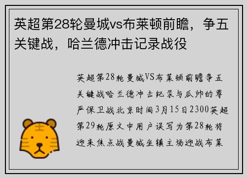 英超第28轮曼城vs布莱顿前瞻,争五关键战,哈兰德冲击记录战役